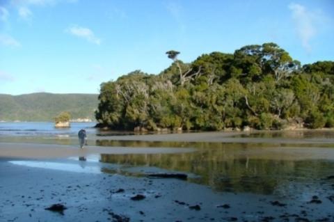 South Sea Hotel - Stewart Island Half-moon Bay Eksteriør bilde